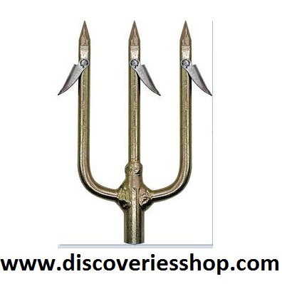 ΤΡΙΑΙΝΑ ΜΕ ΔΕΛΦΙΝΙΕΡΑ PREGIO 20-203