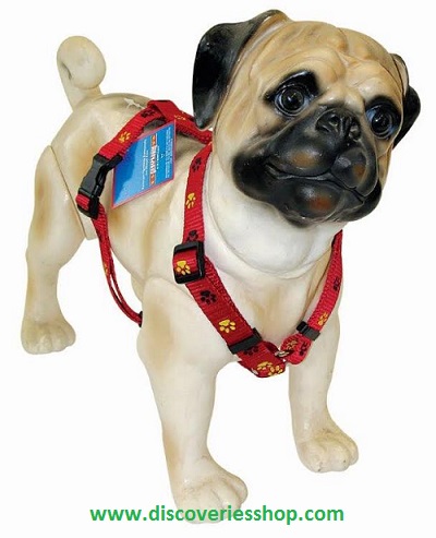 ΣΤΑΥΡΩΤΟ ΛΟΥΡΑΚΙ ΣΚΥΛΟΥ 1.5*25-40cm