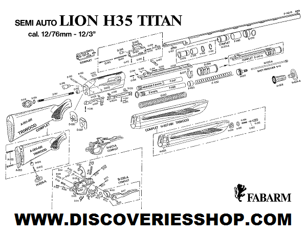 fabarm-Lion-H35