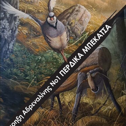 DVD ΠΕΡΔΙΚΑ-ΜΠΕΚΑΤΣΑ ΕΚΡΗΞΗ ΑΔΡΕΝΑΛΙΝΗΣ ΝΟ1