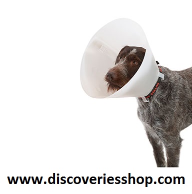 ΚΟΛΑΡΟ ΣΚΥΛΩΝ ΑΝΤΙΛΕΞΕΩΣ-ΑΝΑΡΡΩΣΗΣ ELISABETTA 25 CM